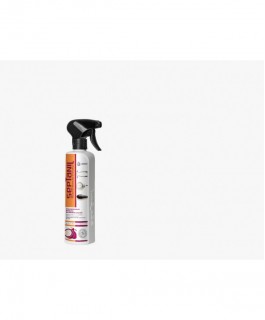 SEPTANIL DEODORISANT DESINFECTANT ANTISEPTIQUE Fruit de la passion 500ML